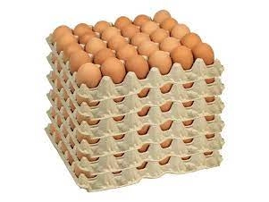Huevos